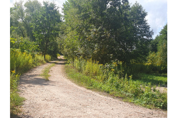 Wiązowna, otwocki, Działka na sprzedaż