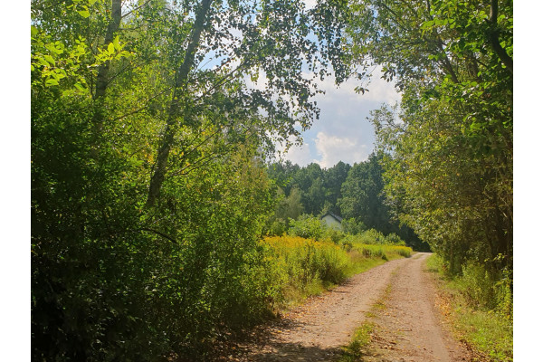 otwocki, Wiązowna, Pod osiedle, 4 do wyboru, Kącka