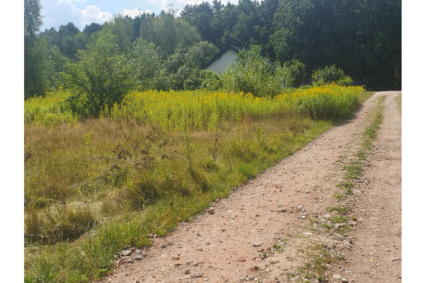 otwocki, Wiązowna, Pod osiedle, 4 do wyboru, Kącka