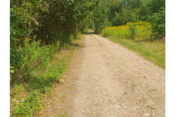 otwocki, Wiązowna, Pod osiedle, 4 do wyboru, Kącka